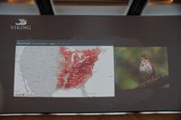 
DSC00266